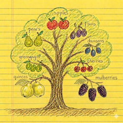 Marcus Briggs Orchard Documenter Logo